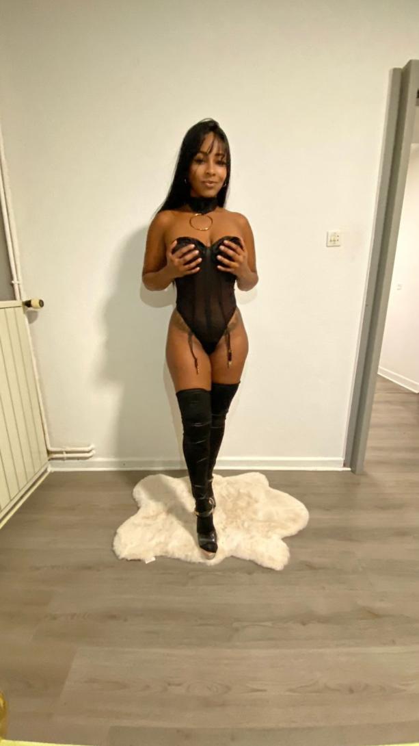 Paloma chaude