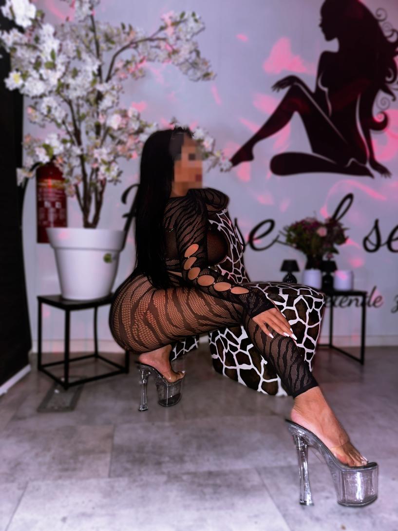 Your Favorite