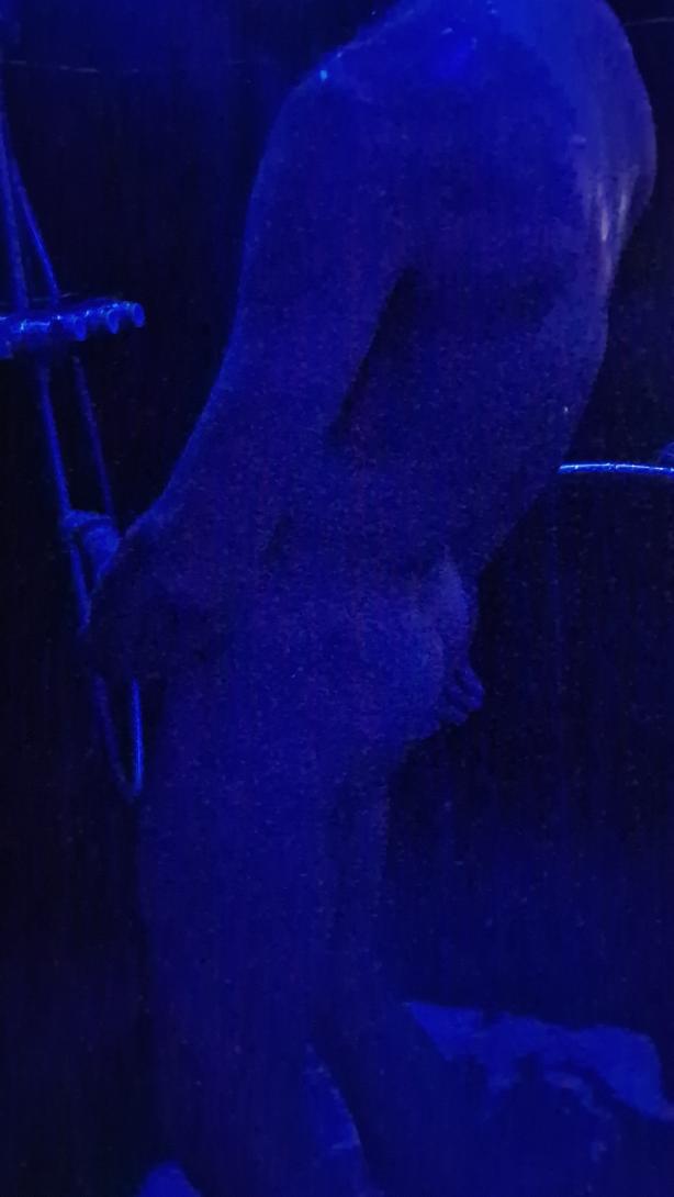 Dominatie, Trio of Voyeur